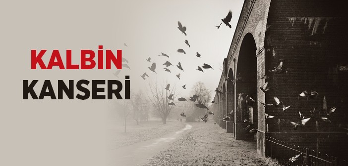 Ahiret İçin Ne Hazırladın?