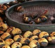 Kestane Alırken Nelere Dikkat Etmeliyiz?
