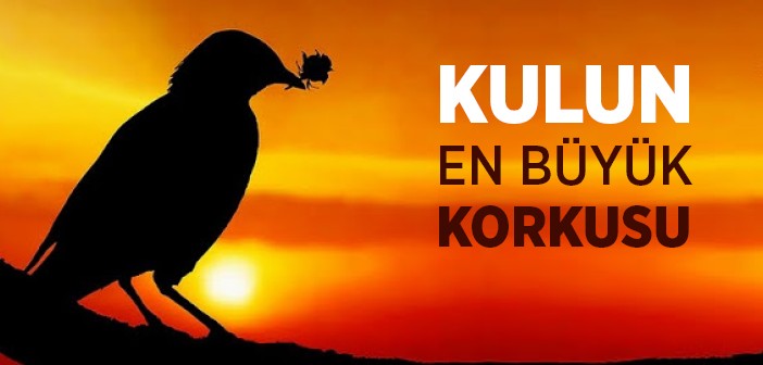 Kıyamet Günü Ne Olacak?