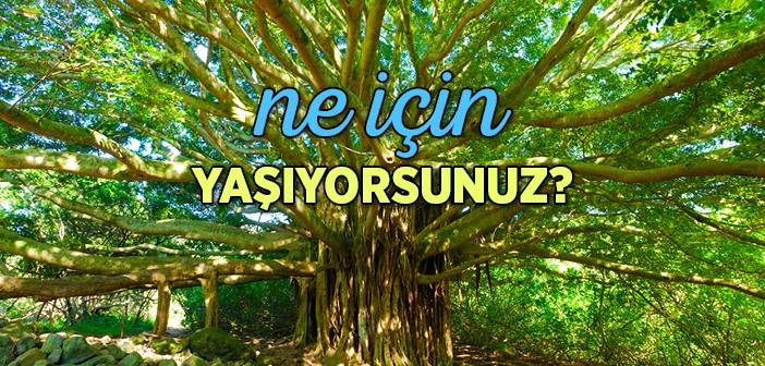 Ne İçin Yaşıyorsunuz?