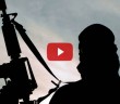 Müslümanlar Terörizme Karşı Nasıl Hareket Etmelidir?