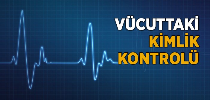 Vücutta Kimlik Kontrolü Nasıl Yapılıyor?