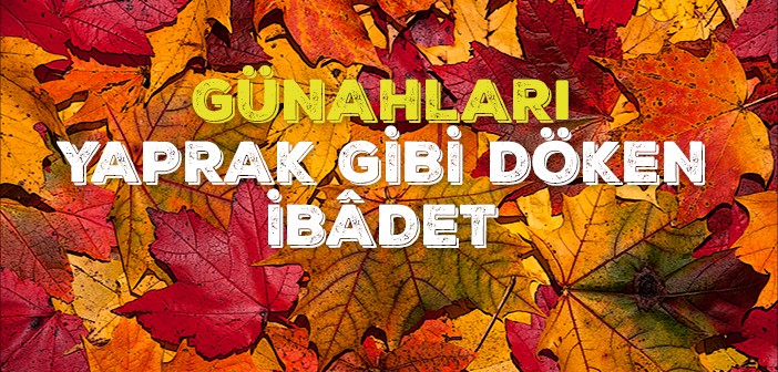 Günahlardan Arınma Yolu