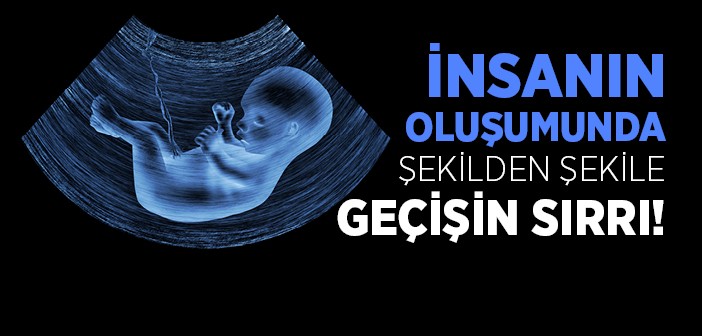 İnsanın Varoluşunda Şekilden Şekile Geçiş