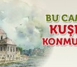 Bu Camiye Kuşlar Konmuyor