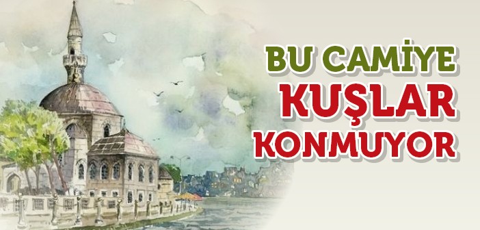 Bu Camiye Kuşlar Konmuyor