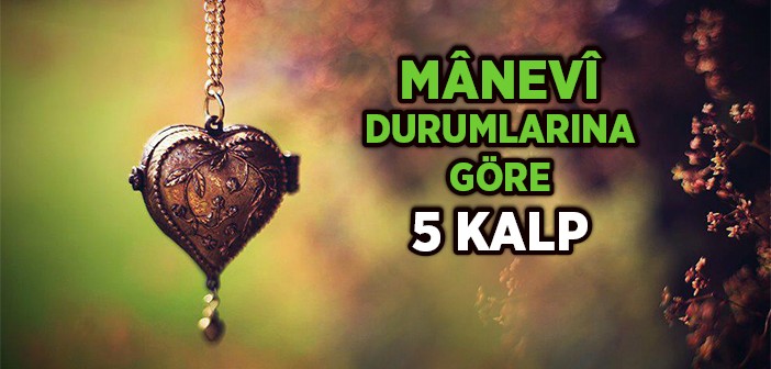 Mânevi Durumlarına Göre Kalpler