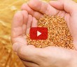 Miras Taksiminde Şartlara Göre Değişiklikler Yapılabilir mi?