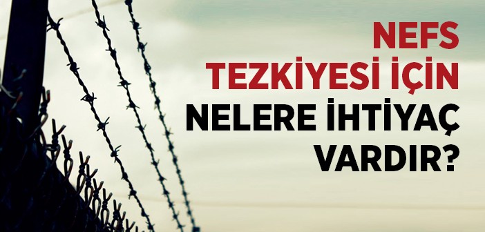 Nefs Tezkiyesi İçin Nelere İhtiyaç Vardır?