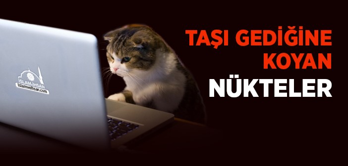 Taşı Gediğine Koyan Nükteler