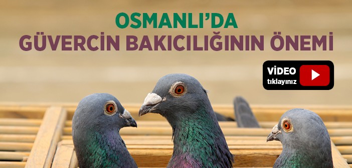 Kuşbazlar ve Osmanlı'da Kuşçuluk