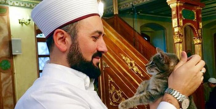 Mustafa Efe Kediler Camiyi Kirletmez Islam Ve Ihsan