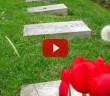 16 Mart Şehitleri