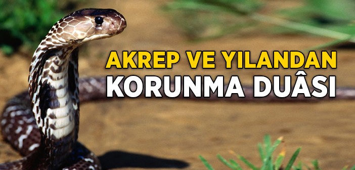 Akrep ve Yılandan Korunma Duası