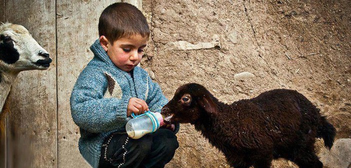 Peygamberimiz Ramazan Ayında Daha Cömertti