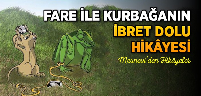 Fare  İle Kurbağanın Hikayesi