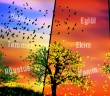 Gün ve Ay İsimleri Nereden Gelmiştir?