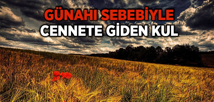 Günahı Sebebiyle Cennete Giden Kul