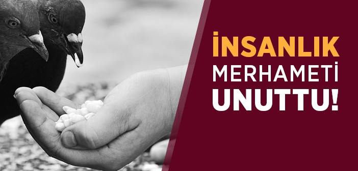 İnsanlık Merhameti Unuttu mu?