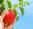 Nefis Nasıl Terbiye Edilir?