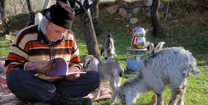 Üniversiteli Çobanın Okuma Azmi