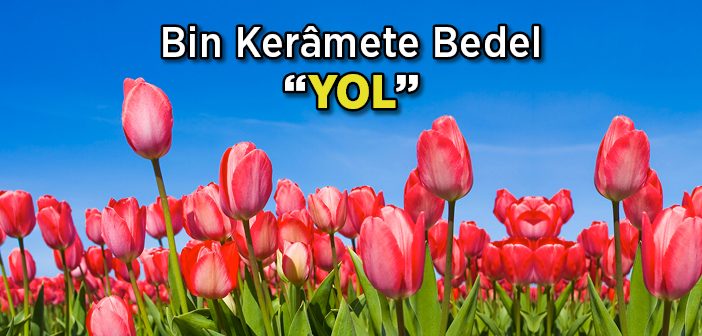 Veli Nedir? Velâyet Nedir? Tevhid Nedir?