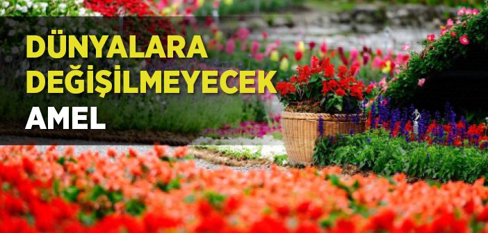 Dünyalara Değişilmeyecek Amel