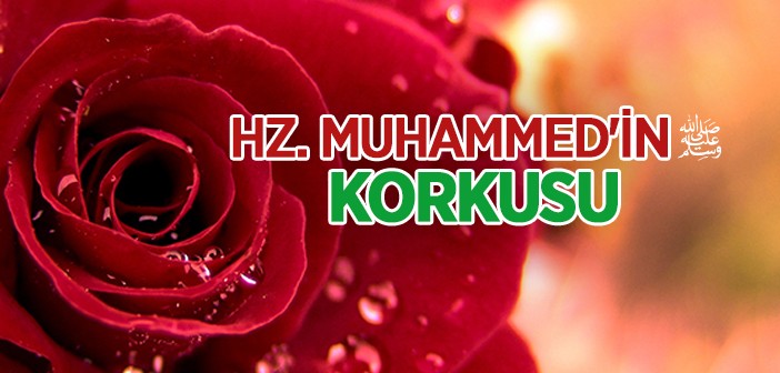 Hz. Muhammed’in (s.a.v.) Korkusu