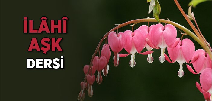 'Peygamberimiz'e Muhabbet' Bize Neler Kazandırır?