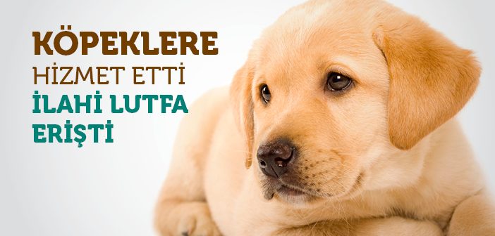 Köpeklere Merhamet Allah'a Ulaşmaya Vesile