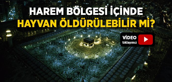 Harem Bölgesi İçinde Hayvan Öldürülebilir mi?