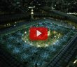 Harem Bölgesi İçinde Hayvan Öldürülebilir mi?