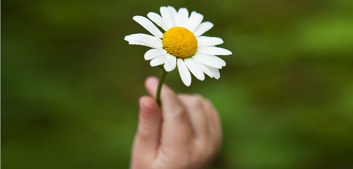 Hak ve Hakikat 'muhabbetle' Tanınır