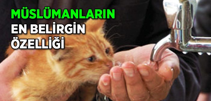 Allâhʼın Dostluğuna Ulaşmanın En Güzel Vesîlesi