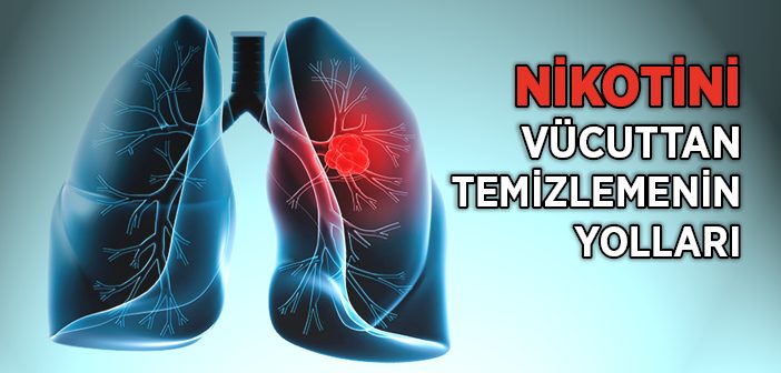 Nikotin Vücuttan Nasıl Atılır?