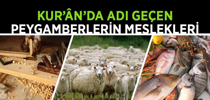 Peygamberlerin Meslekleri Nelerdir?