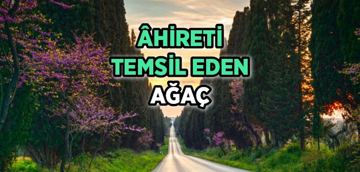 Âhirete Dâvet Sesi