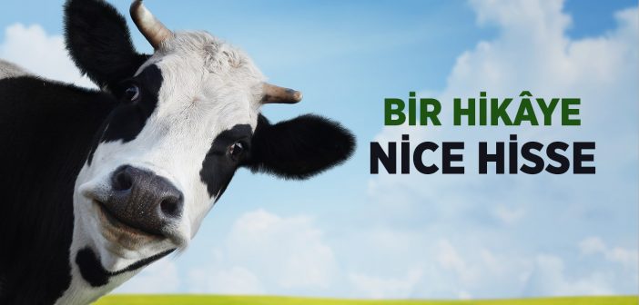 Bir Hikâye Nice Hisse