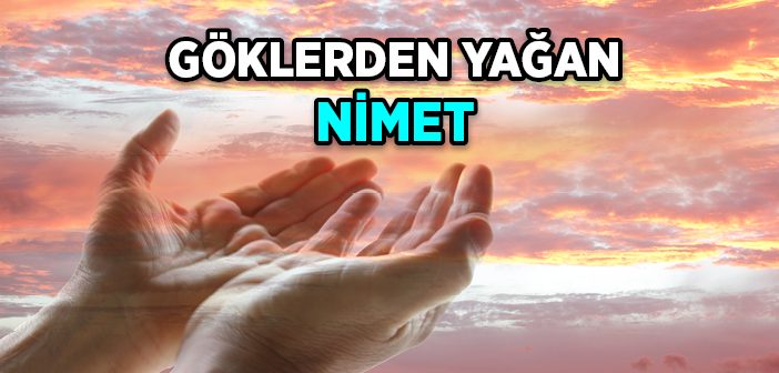 Allah’ın (cc) Nîmetlerini Tefekkür