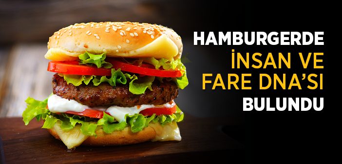 Hamburger'de İnsan ve Fare Dna'ları Bulundu