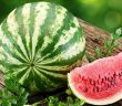 Karpuzun Faydaları Nelerdir?