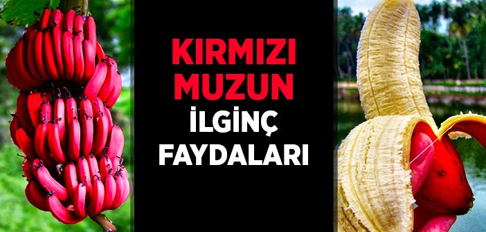 Kırmızı Muzun Faydaları Nelerdir?