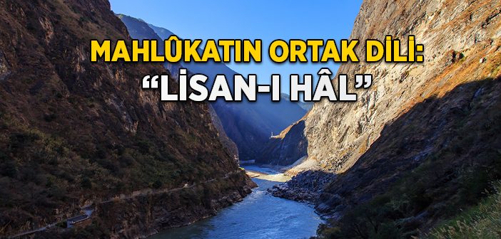 Mahlûkatın Ortak Dili: “Lisân-ı Hâl”