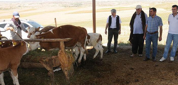 Hayvanları Serinleten Hizmet