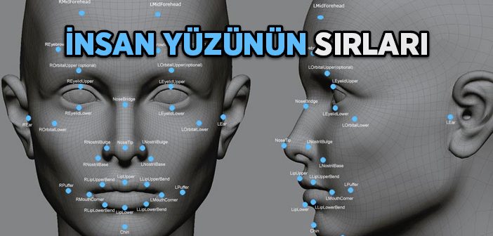 İnsan Yüzünün Sırları