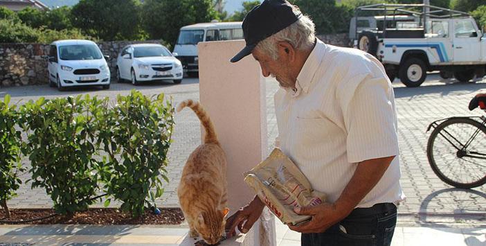 Sokak Kedilerinin Mamasını 'hurdadan' Çıkarıyor