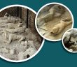 Pompei Halkının Helâk Oluşu