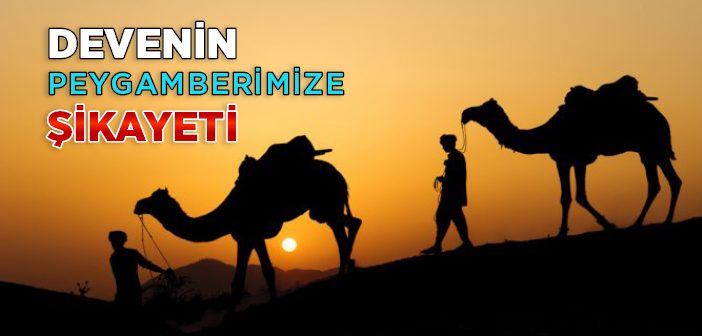 İbret Verici Kıssalar