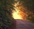 Dünya'da İki Yol