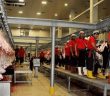 Darbenin Başarısızlığı İçin Bin Kurban Adadı ve Kestirdi